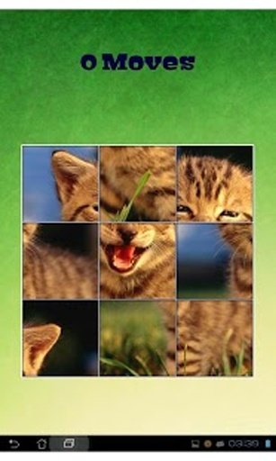 Kitten Puzzles截图2