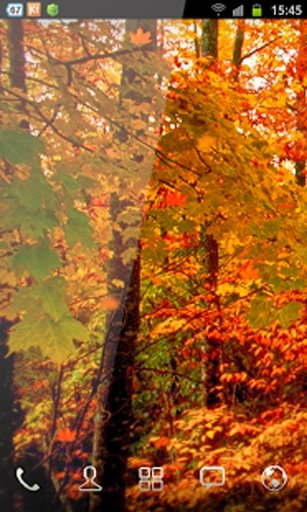 Autumn HD 3D Live Wallpaper截图6