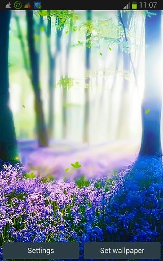 Forest Lavender HD LWP App截图4