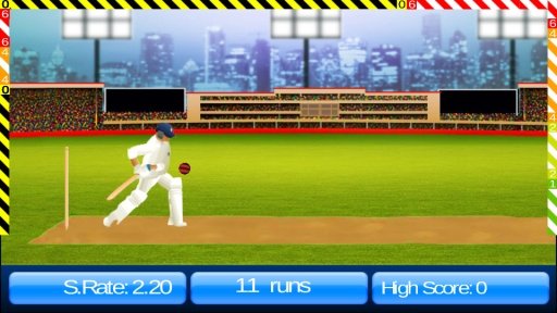 Cricket World Cup Game IndoPak截图3