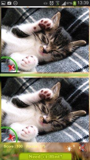 Find Difference - Kitty Cat截图5