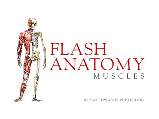 Flash Anatomy Muscles - Free截图6
