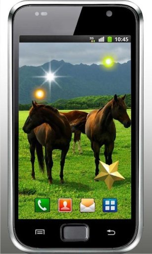 Horses Games live wallpaper截图4