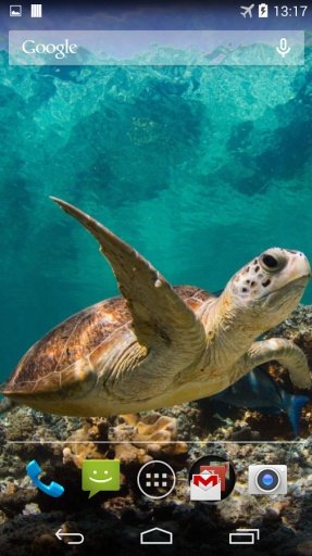 Sea Turtle Live Wallpaper截图3