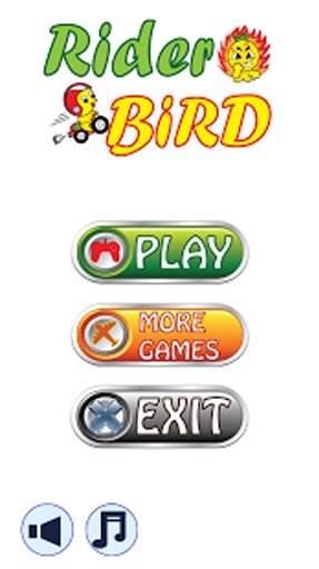 Rider Bird On Highway Death截图5