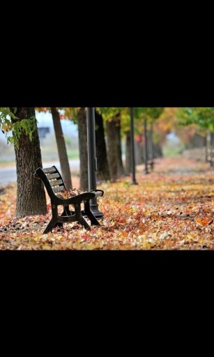 Lonely Autumn Live Wallpaper截图7