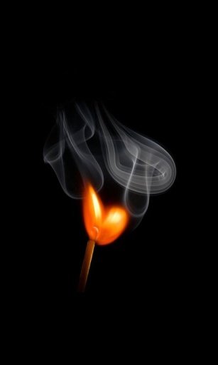 The Flame Live Wallpaper LWP截图1