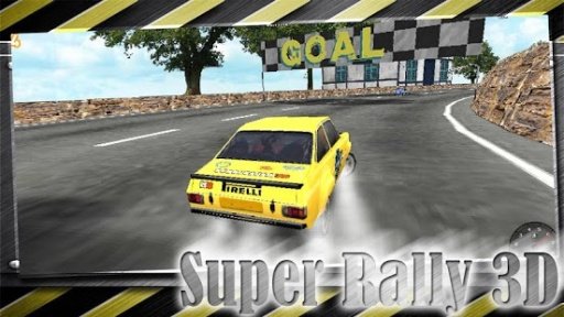 Super Rally 3D截图9