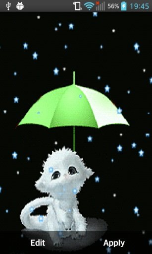 Rain Cute CAT Live Wallpaper截图3