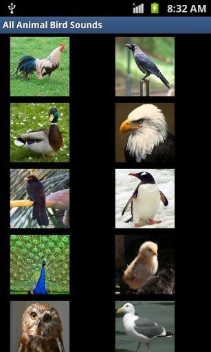 All Animal &amp; Bird Sounds截图1