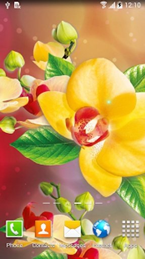 Orchids Live Wallpaper截图3