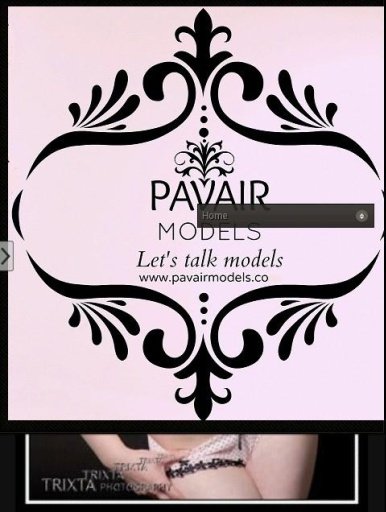 PAVAIR MODELS截图2