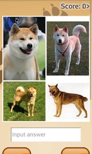 Dogs Quiz Online截图1