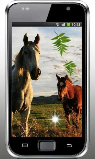 Horses Games live wallpaper截图3