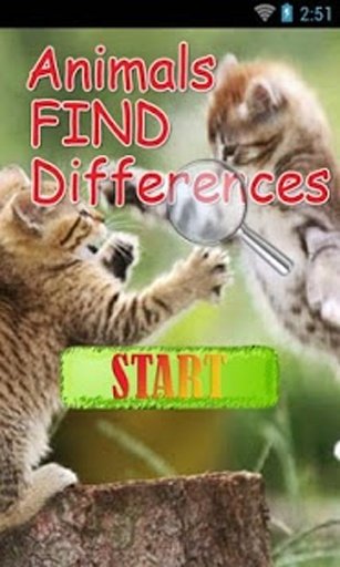 Animals Find Differences截图3