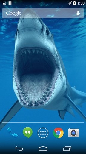 Shark Underwater Wallpaper截图1