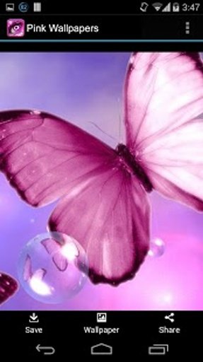Pink Wallpapers &amp; Backgrounds截图6