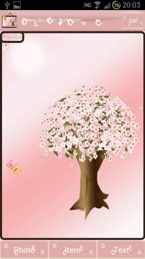 Cherry Blossom Wallpaper Free截图9