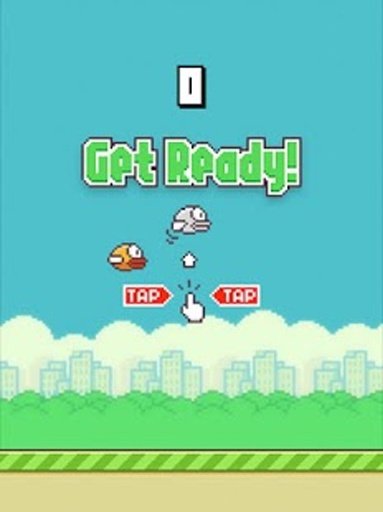 Flappy Bird 2K14 New!截图3