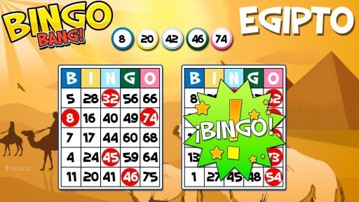 Bingo Bang! - Bingo en Espa&ntilde;ol截图2