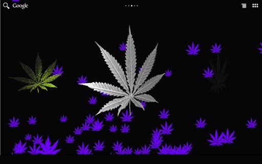 Cannabis Leaf LWP截图1