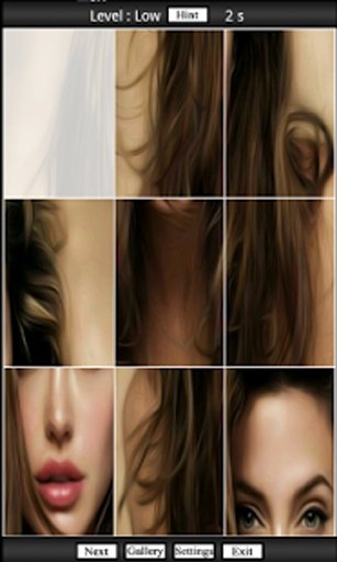 Angelina Jolie In Puzzle截图4