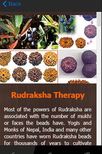 Rudraksha Therapy截图3