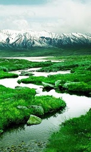 Best Nature Wallpapers截图6