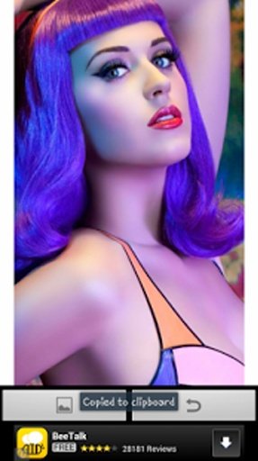 Katy Perry HD Wallpaper截图4
