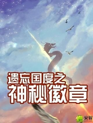 遗忘国度之神秘徽章截图1