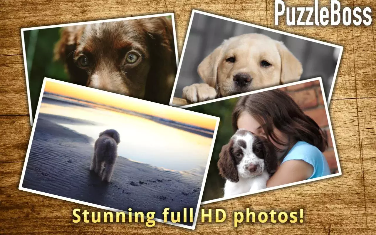 Puppy Jigsaw Puzzles FREE截图9