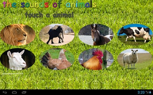 the sounds of animals截图3