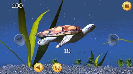 Sea Turtle Aquarium 3D截图3