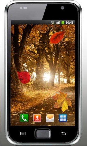 Autumn Forest live wallpaper截图3