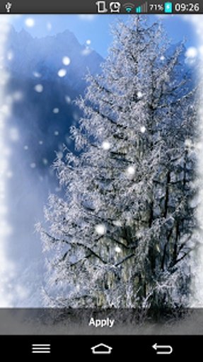 Amazing Winter Live wallpaper截图3