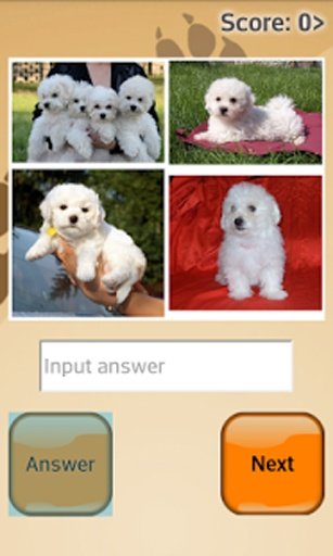 Dogs Quiz Online截图4