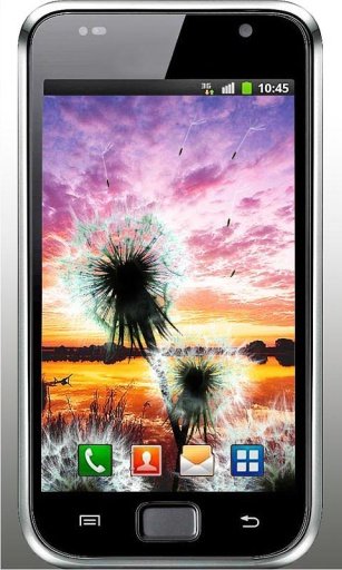 Sunrise Dandelion HD Wallpaper截图5