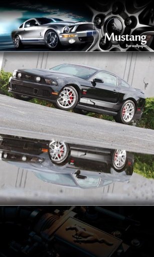 Mustang Models Live Wallpaper截图3