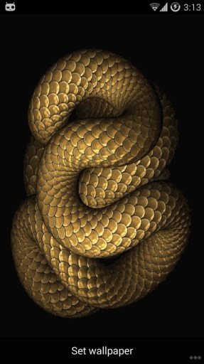 Moving Snake Live Wallpaper截图2