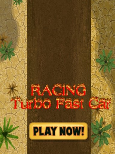 Racing : Turbo Fast Car截图2