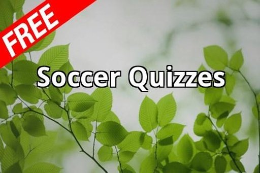 Soccer Quizzes截图1