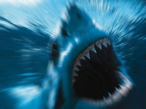 Hungry Hunter Shark截图7