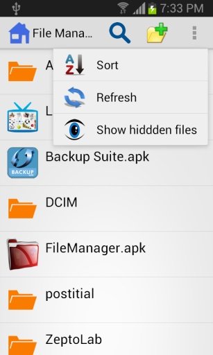 File Manager/Hide Folder,Files截图4