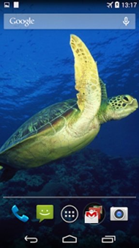 Sea Turtle Live Wallpaper截图5