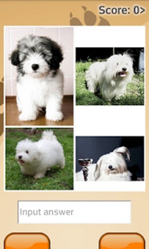 Dogs Quiz Online截图2