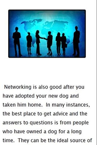 Tips for adopting a dog截图3