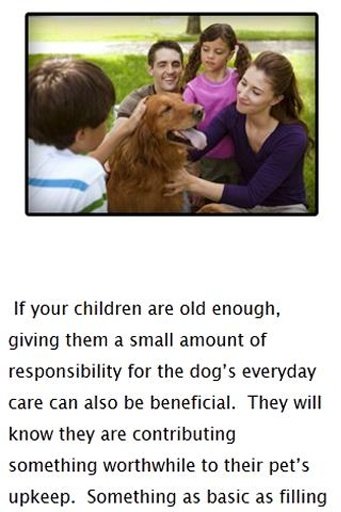 Tips for adopting a dog截图1