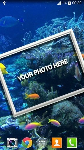 Photo In Water Live Wallpaper截图2