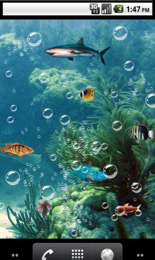 Nature nemo Live Wallpaper截图1