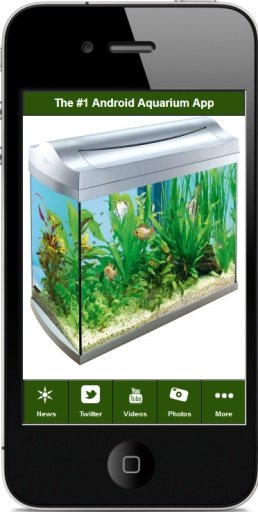 Aquariums For Beginners截图4